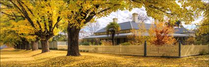 Beechworth - VIC H (PBH3 00 34579)